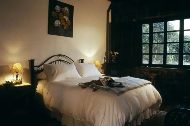 Standard Tek Büyük Yataklı Oda, 1 Yatak Odası, Dağ Manzaralı