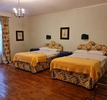 Superior Tek Büyük Yataklı Oda