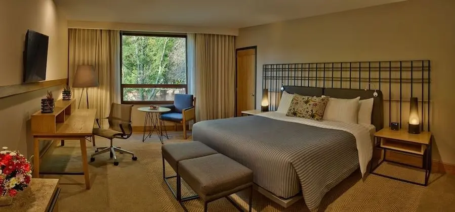 Brisas Business Club 1 king bed