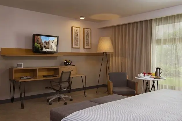 Brisas Business Club 1 king bed