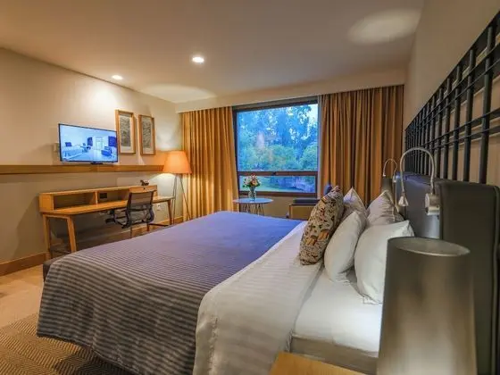 Brisas Business Club 1 king bed