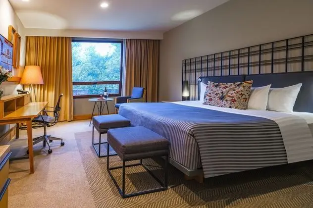 Brisas Business Club 1 king bed