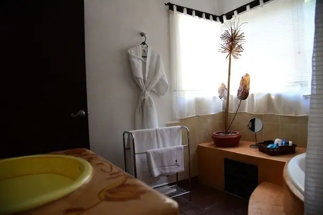 Süit