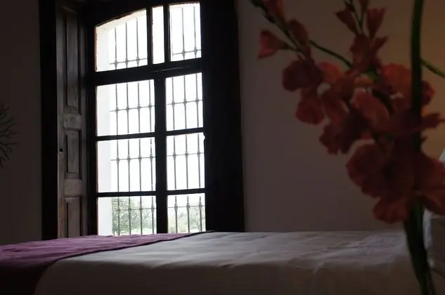 Luxury Stüdyo Süit