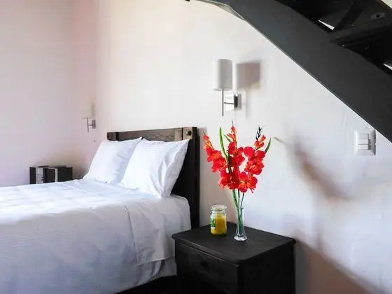 Luxury Stüdyo Süit