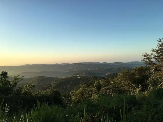 Panoramic Tek Büyük Yataklı Oda