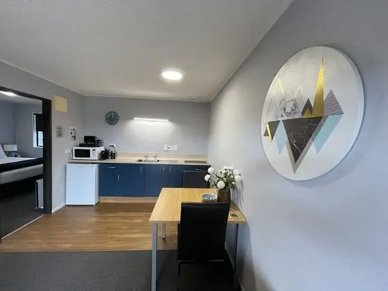 Deluxe Oda, Sigara İçilmez, Küçük Mutfak (One bedroom excutive unit)