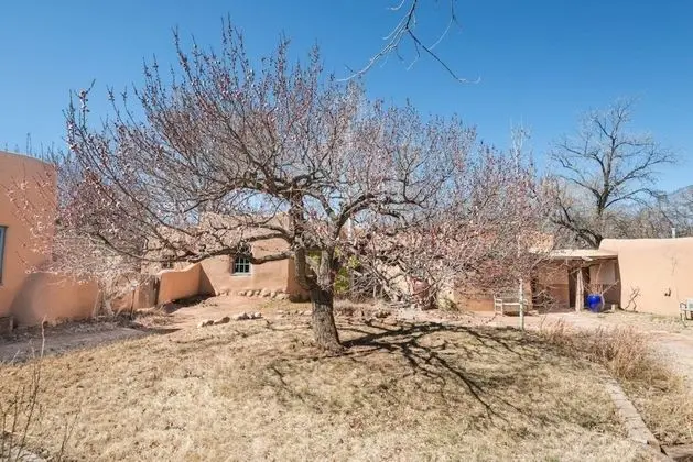 Ev (Hacienda Rose - Historic East Side Ad)