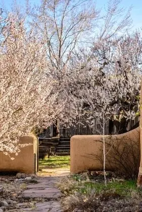 Ev (Hacienda Rose - Historic East Side Ad)