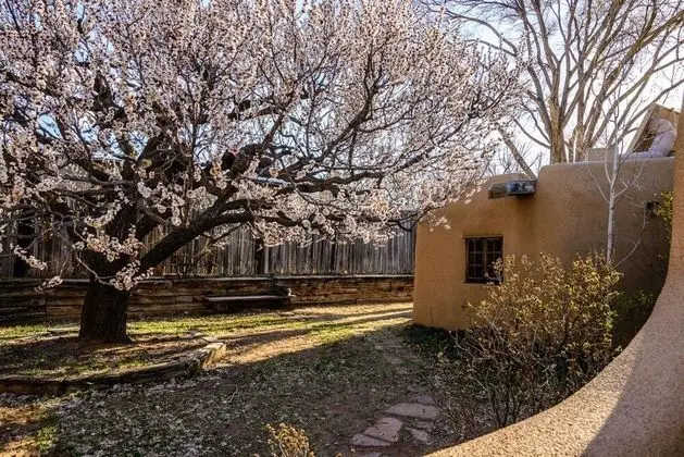 Ev (Hacienda Rose - Historic East Side Ad)