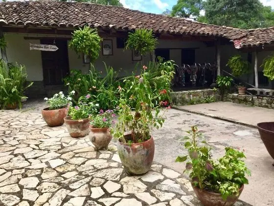 Deluxe Üç Kişilik Oda, Birden Çok Yatak, Bahçe Manzaralı