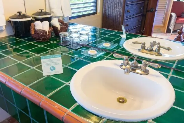 Standard Oda, 1 Yatak Odası, Özel Banyo (High Standard - Twin/King)