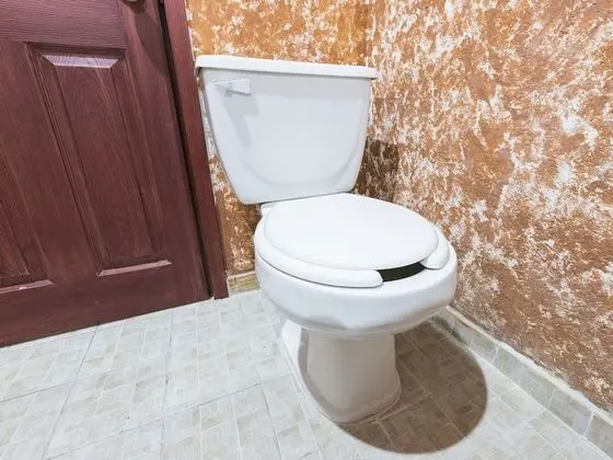 Standard Oda, 2 Çift Kişilik Yatak