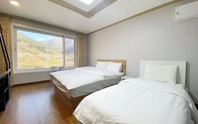 Oda (Twin (Simni Cherry Blossoms Valley Vi)