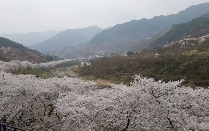 Oda ((Unshared)Pension)