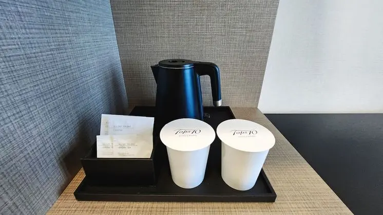 Standard Tek Büyük Yataklı Oda, Teras, Şehir Manzaralı