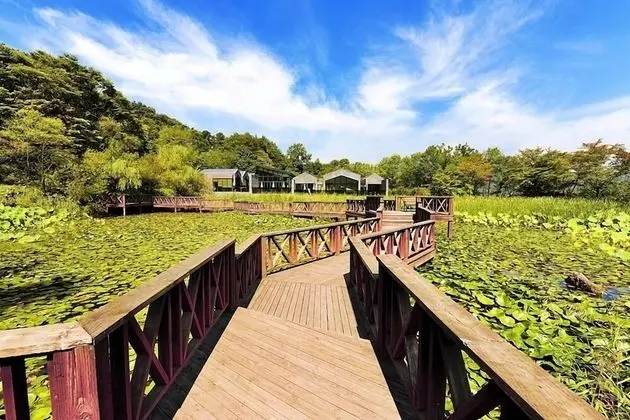 Hill Pension (Mountain View)
