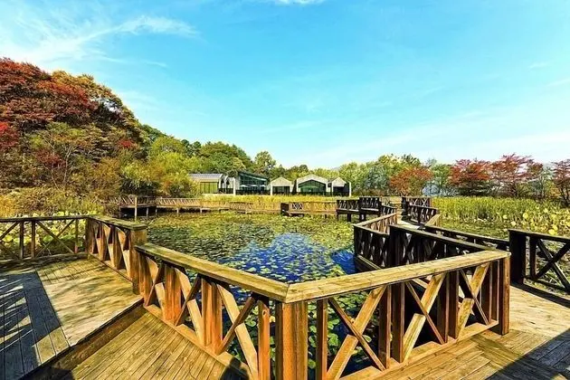 Pond A