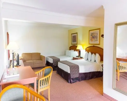 Standard Oda, 1 En Büyük (King) Boy Yatak, Sigara İçilmez