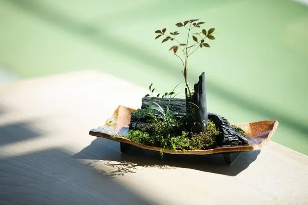 Traditional Oda, Sigara İçilmez, Özel Banyo (Japanese-Style, Run of house)