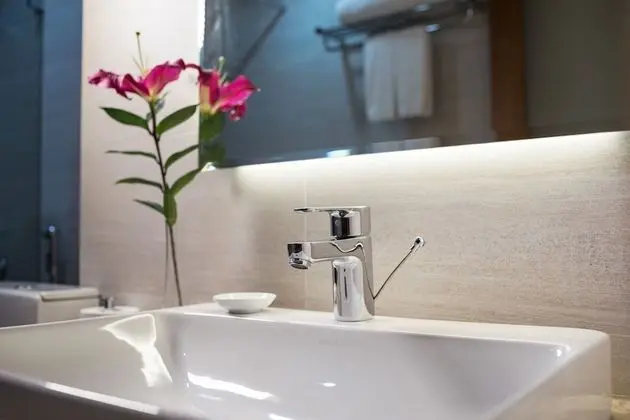 Deluxe Tek Büyük veya İki Ayrı Yataklı Oda, Şehir Manzaralı