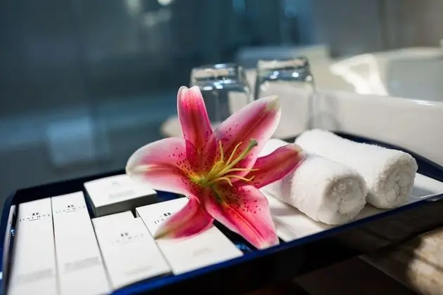 Deluxe Tek Büyük veya İki Ayrı Yataklı Oda, Şehir Manzaralı