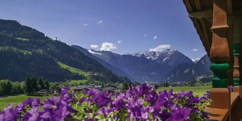 Apart Daire (Roof Lodge)