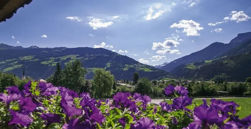 Apart Daire (Roof Lodge)