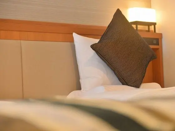 Premium Oda, Sigara İçilmez (Premium King)