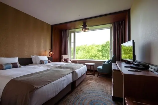 Superior İki Ayrı Yataklı Oda, Sigara İçilmez (Hollywood Twin bed)