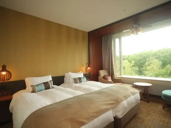 Superior İki Ayrı Yataklı Oda, Sigara İçilmez (Hollywood Twin bed)
