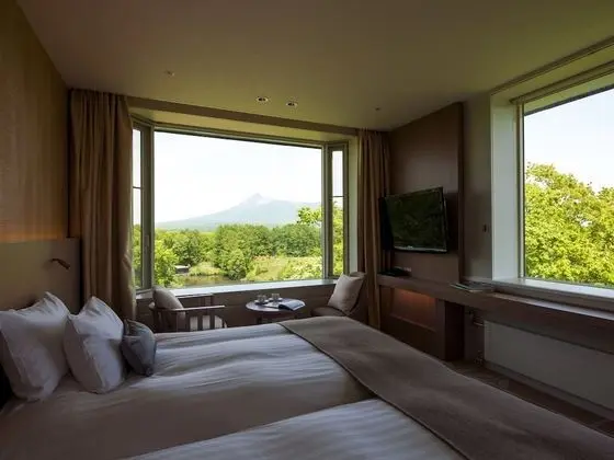 Superior İki Ayrı Yataklı Oda, Sigara İçilmez (Hollywood Twin bed)