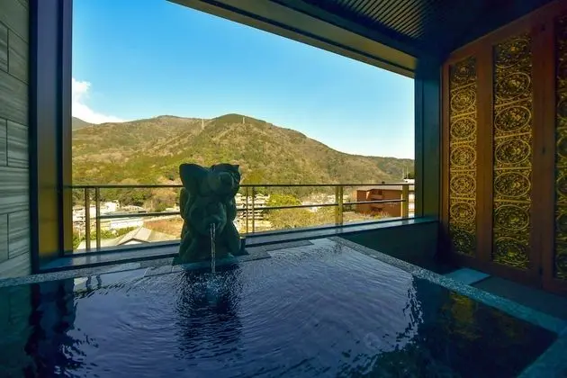Deluxe Oda, Sigara İçilmez, Dağ Manzaralı (4F, Open air bath, Room Only,CO:11AM)