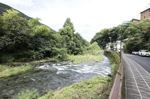 Traditional Oda, Sigara İçilmez (Japanese Style)