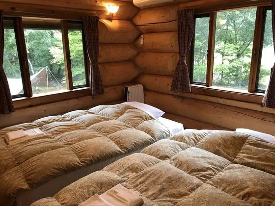 Ev (Log House)