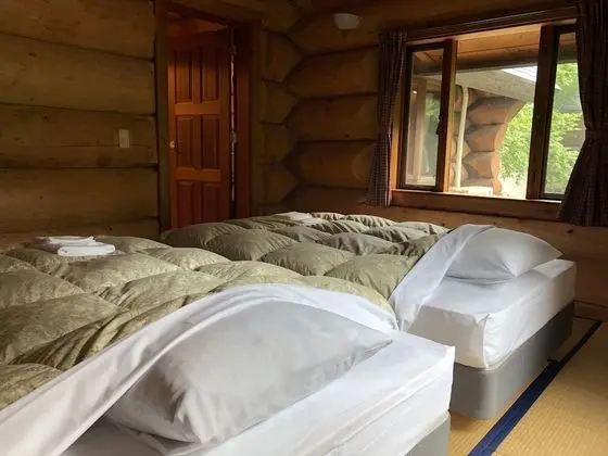 Ev (Log House)