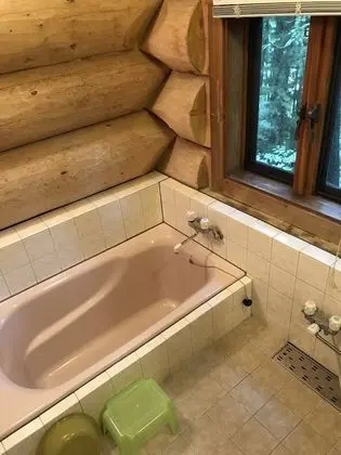 Ev (Log House)