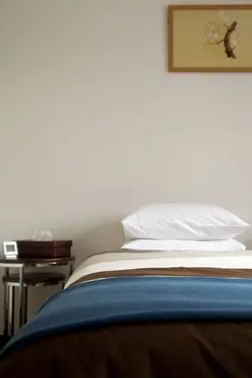 Ev