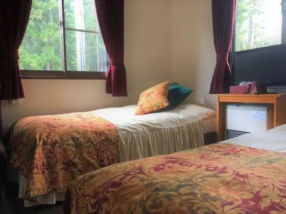 Deluxe İki Ayrı Yataklı Oda (with Bathroom and Toilet)