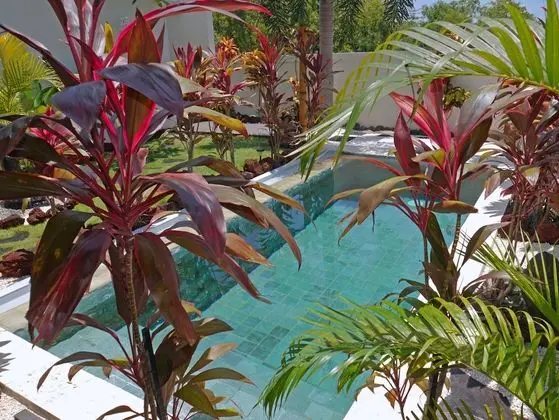 Luxury Villa, 2 Yatak Odası, Kişiye Özel Havuzlu, Okyanus Manzaralı