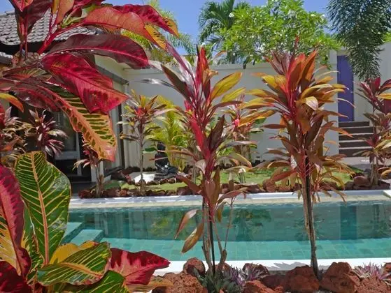 Luxury Villa, 2 Yatak Odası, Kişiye Özel Havuzlu, Okyanus Manzaralı