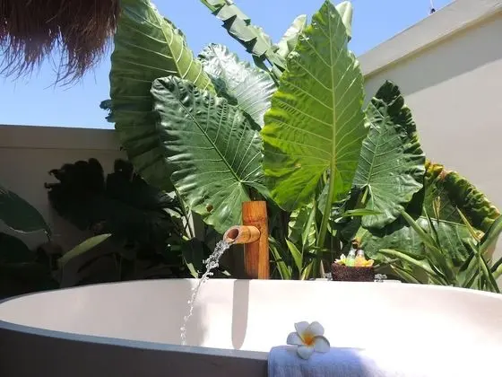 Luxury Villa, 2 Yatak Odası, Kişiye Özel Havuzlu, Okyanus Manzaralı