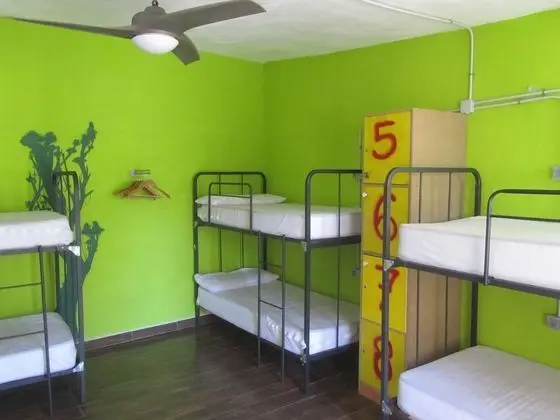 Ortak Ranzalı Oda, Karma Ranzalı Oda, Ortak Banyo (8 pax)