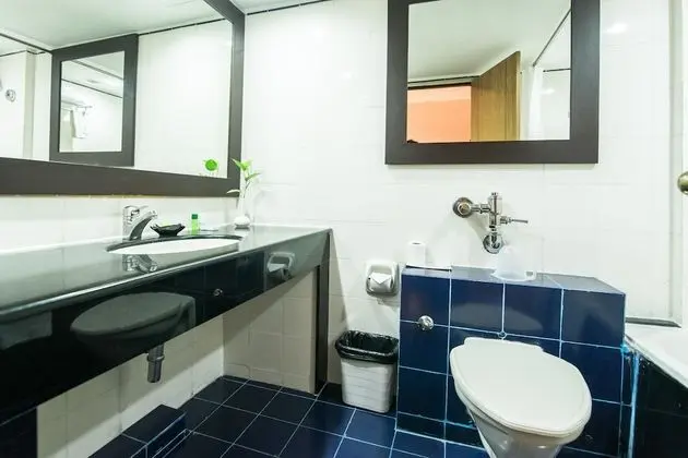 Deluxe Apart Daire, 1 Yatak Odası, Sigara İçilebilir