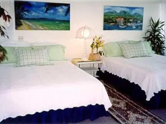 Standard Dört Kişilik Oda, Banyolu/Duşlu, Deniz Manzaralı (Palm Suite)