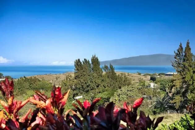Ev, 3 Tek Kişilik Yatak (Hale O' Waikoloa)