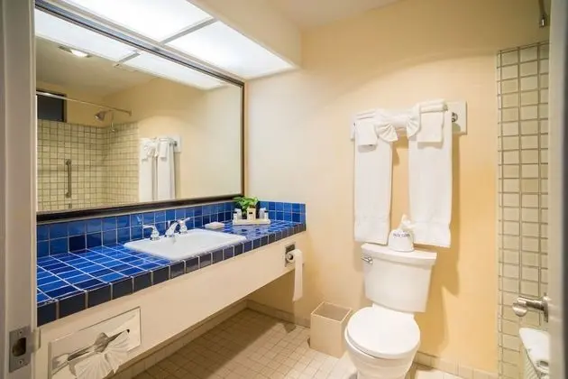 Deluxe Oda, 1 En Büyük (King) Boy Yatak (Deluxe King Fireplace)