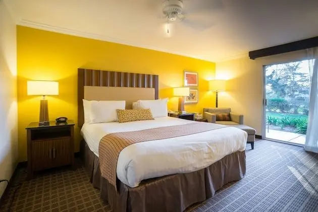 Standard Oda, 1 En Büyük (King) Boy Yatak