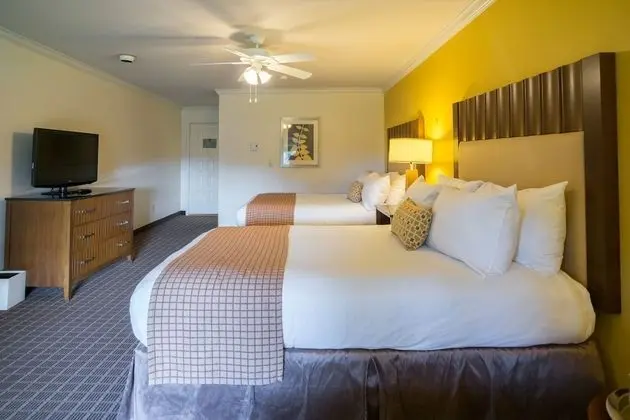 Standard Oda, 2 Büyük (Queen) Boy Yatak