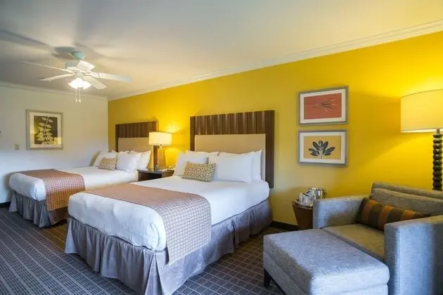 Standard Oda, 2 Büyük (Queen) Boy Yatak